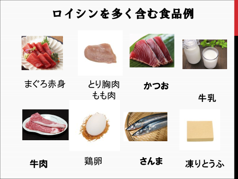 筋肉をつける食べ物 日本介護予防協会